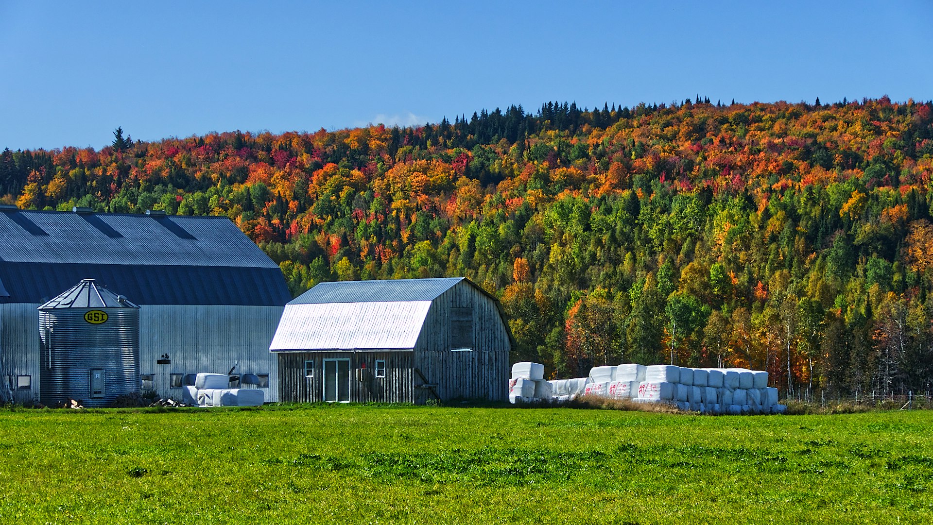 gray and brown barn