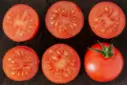 Panier de tomates